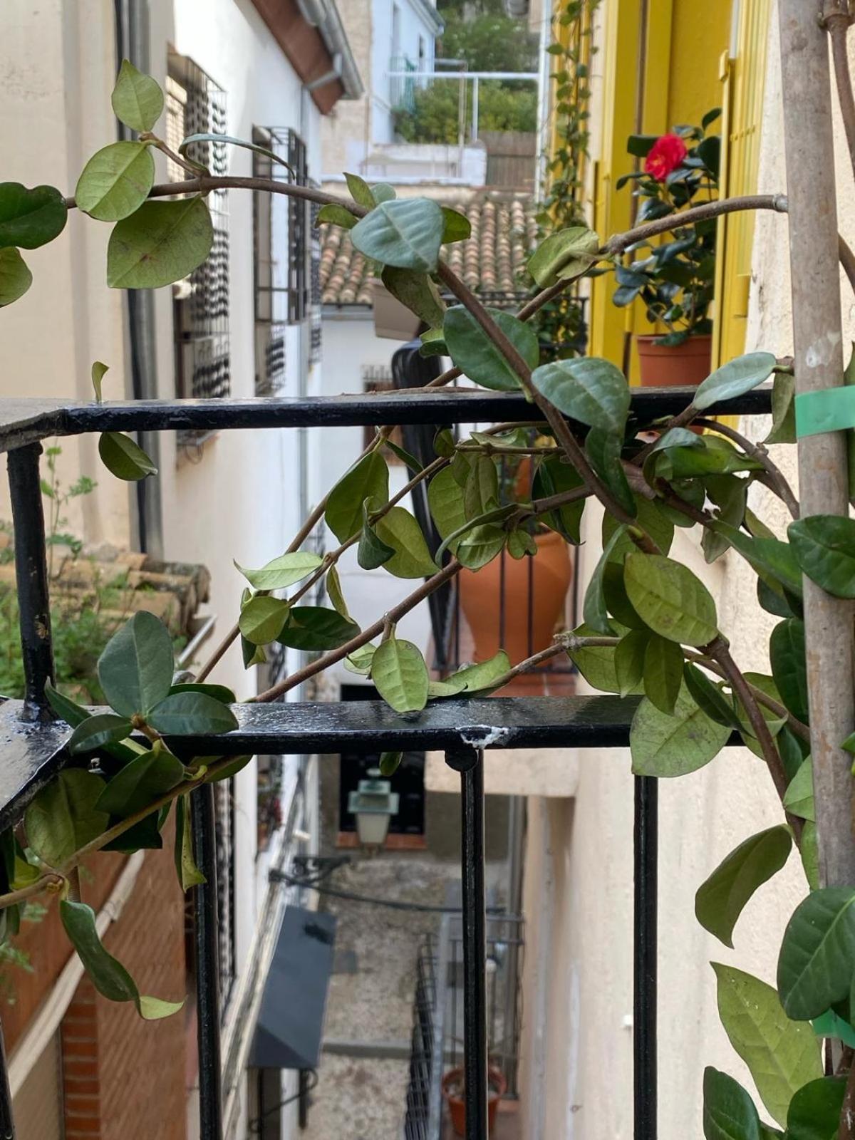 Apartamento Home Stagging New Life 格拉纳达 外观 照片