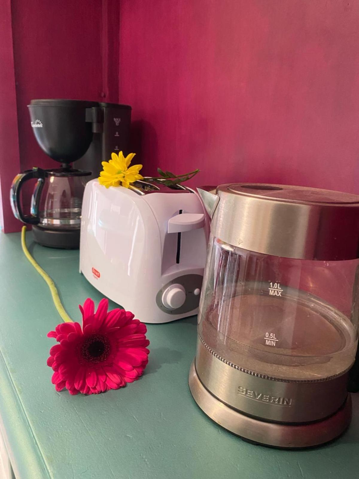 Apartamento Home Stagging New Life 格拉纳达 外观 照片